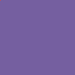 Violetinė 